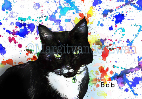 Pet portrait, Commission, Custom dog portrait, art, cat, pets, customised art, Margit van der Zwan, Arty Margit,Bob the cat