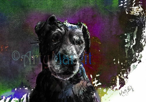 Pet portrait, Commission, Custom dog portrait, art, cat, pets, customised art, Margit van der Zwan, Arty Margit
